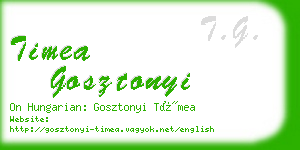 timea gosztonyi business card